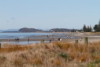 waihi beach