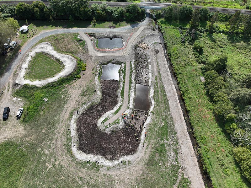 te puke park wetland