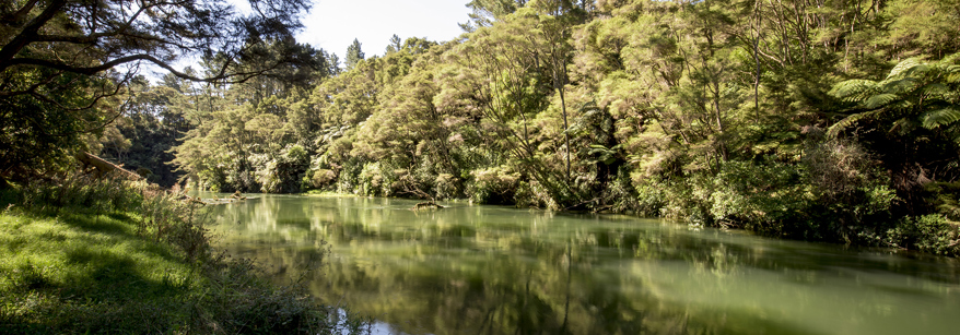 kaituna river