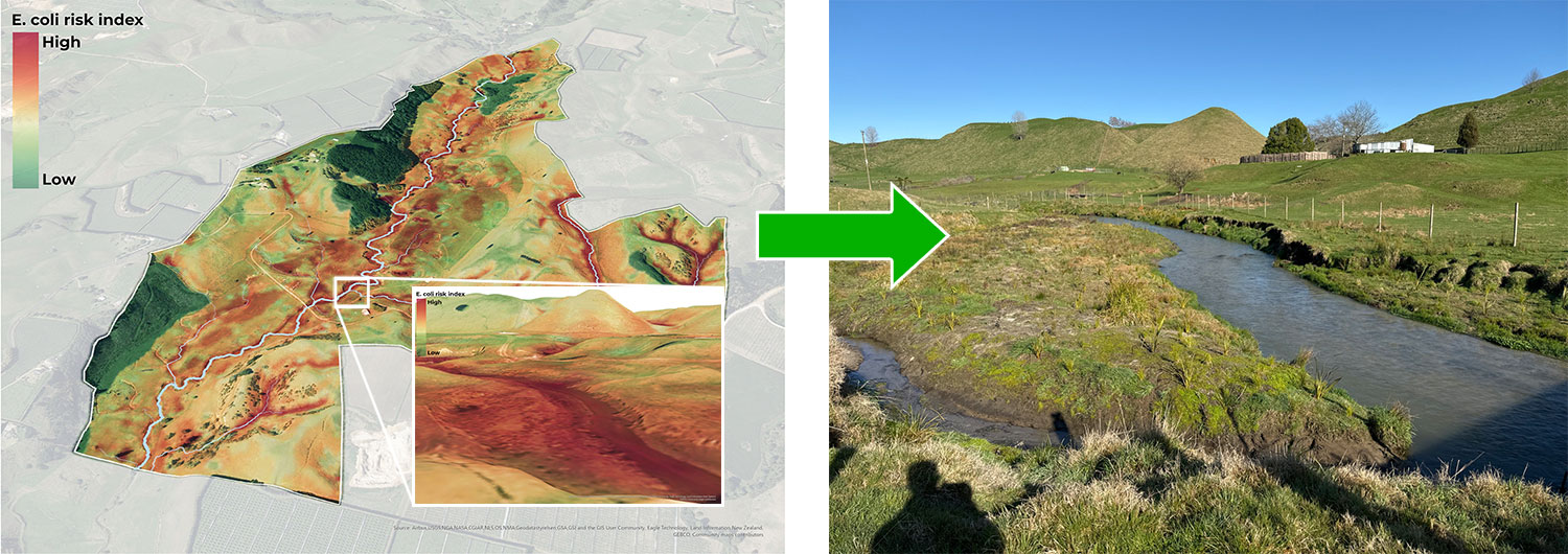 Farm E. coli risk map
