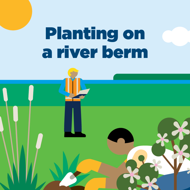 planting on a river berm