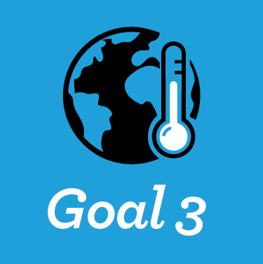 goal 3