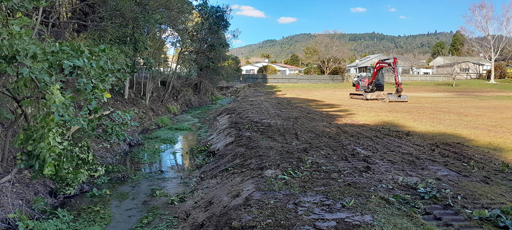 Waitawa Stream Restoration Project