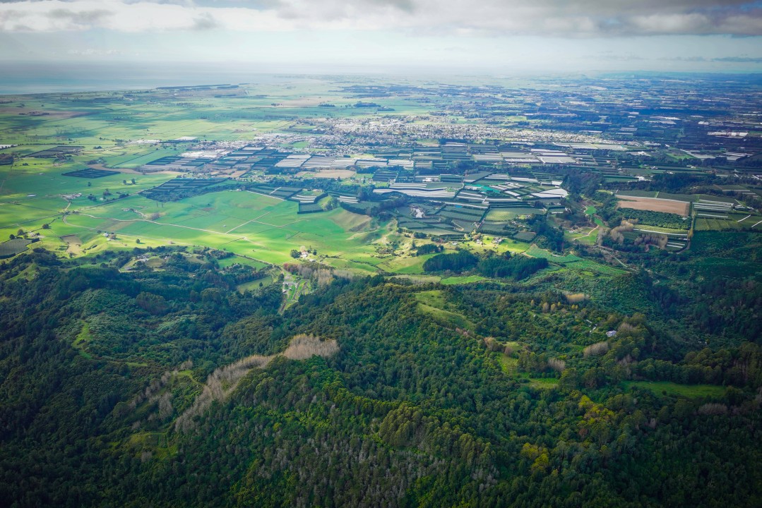 Horticulture Horticulture is one of the largest industries in New Zealand, bringing in billions of dollar annually and providing thousands of jobs nationwide...