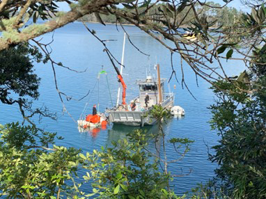 Harbourmaster team refloating sunken boat at Tanners Point.