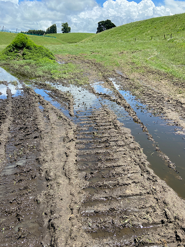Effluent flowing over land towards the farms drains