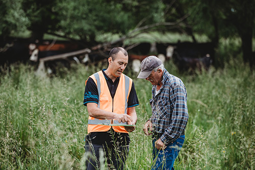 people talking in a field