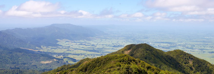 te puke park wetland