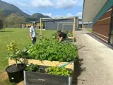 Tarawera High School has a community garden for all to enjoy.
