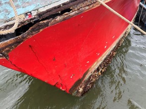 science fair winners