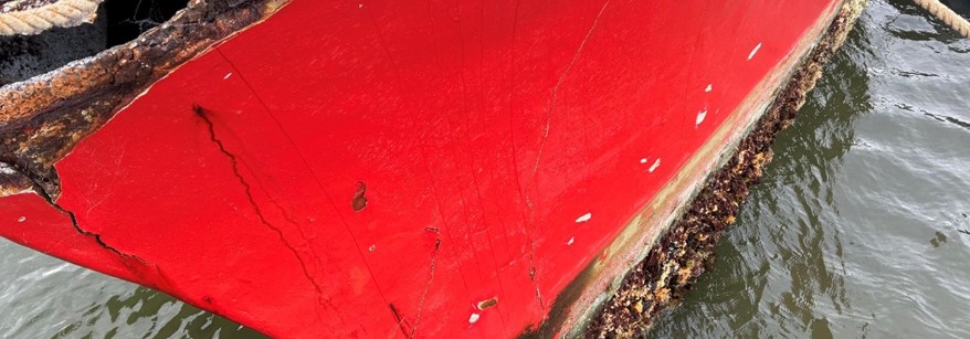 science fair winners